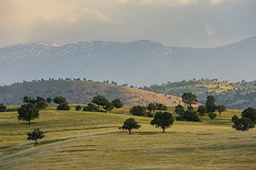 Nature and Farms of Dehdez, Khuzestan Province, Iran