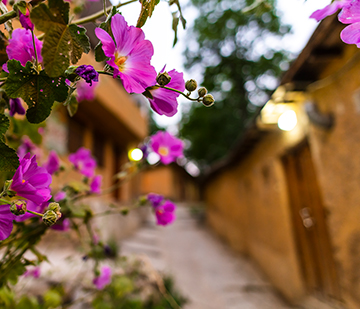 In the alleys of Masuleh village